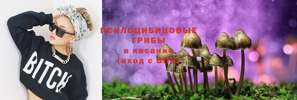 СК Володарск