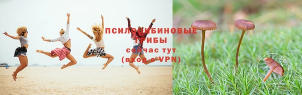 круглые Волосово