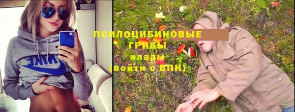 СК Володарск