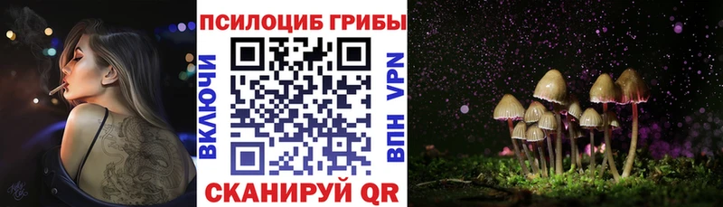цена Зерноград darknet официальный сайт Галлюциногенные грибы Cubensis